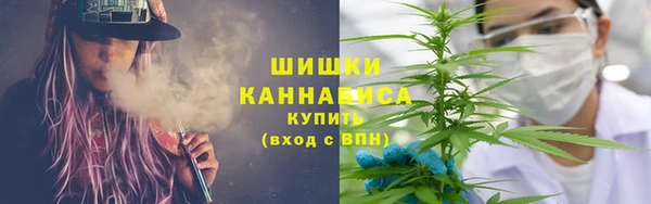 мдпв Рославль