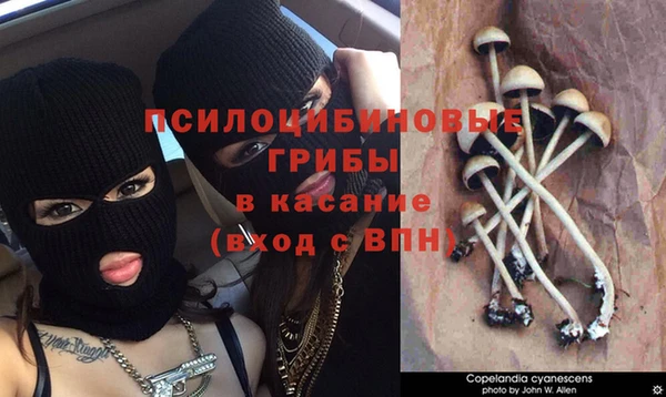 дурь Россошь