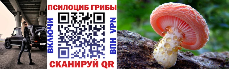 Галлюциногенные грибы MAGIC MUSHROOMS продажа наркотиков гидра онион Сусуман